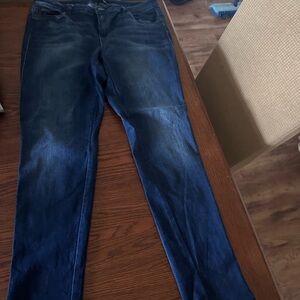 1822 Denim Blue Skinny Jeans